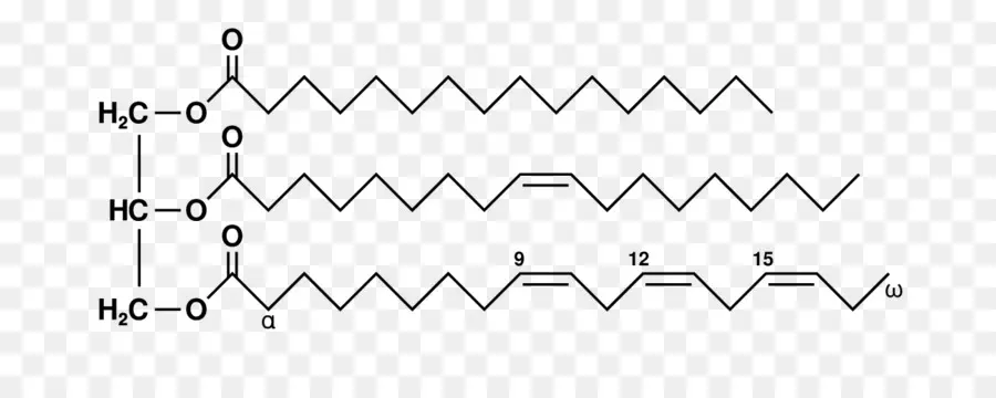 Acide Linolénique，Structure PNG