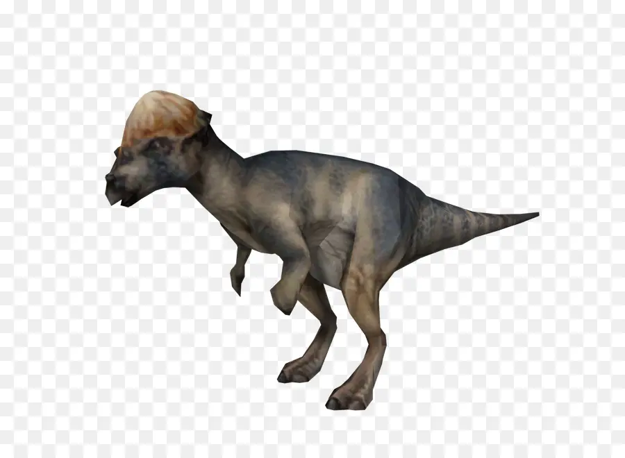 T Rex，Préhistorique PNG