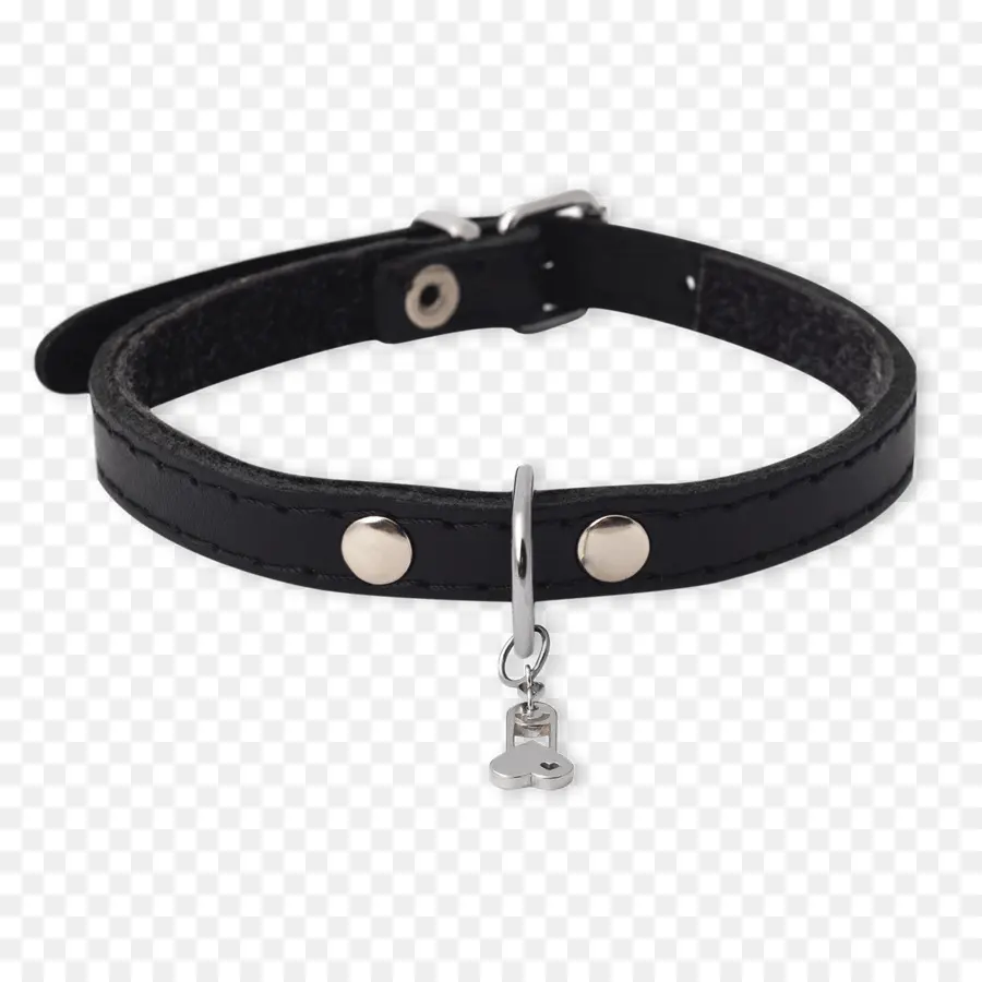 Collier De Chien，Animal De Compagnie PNG