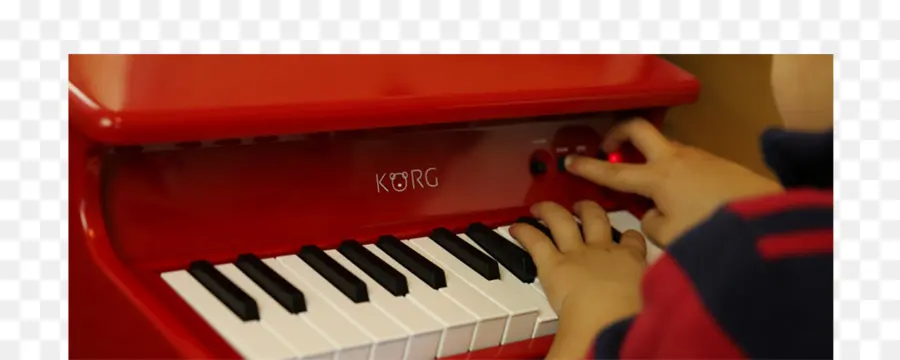 Piano Numérique，Nord Electro PNG