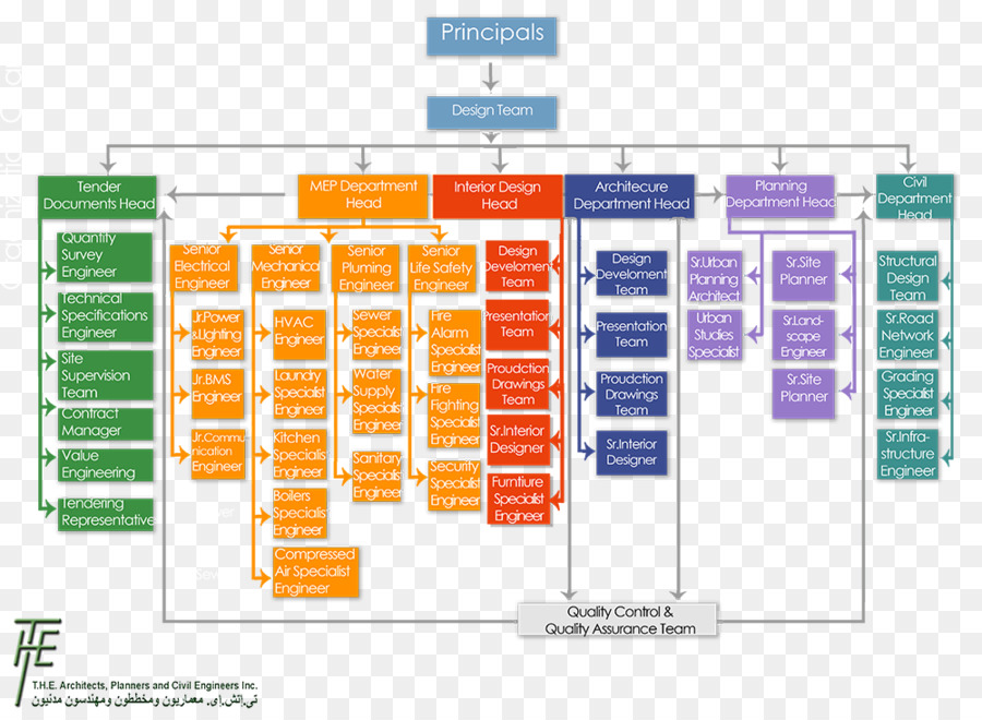 Organigramme，Structure PNG