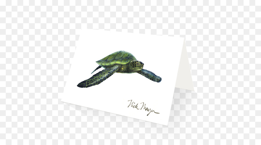 Tortue De Mer，Tortue PNG