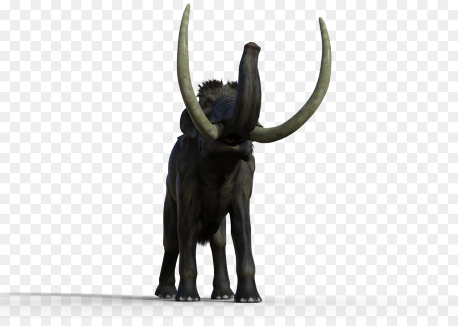 éléphant Indien，L éléphant D Afrique PNG