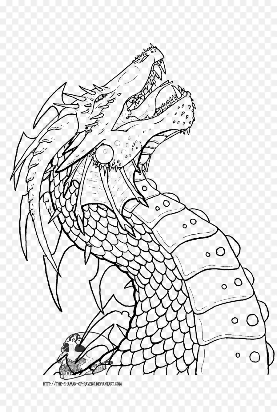 Dessin De Dragon，Fantaisie PNG