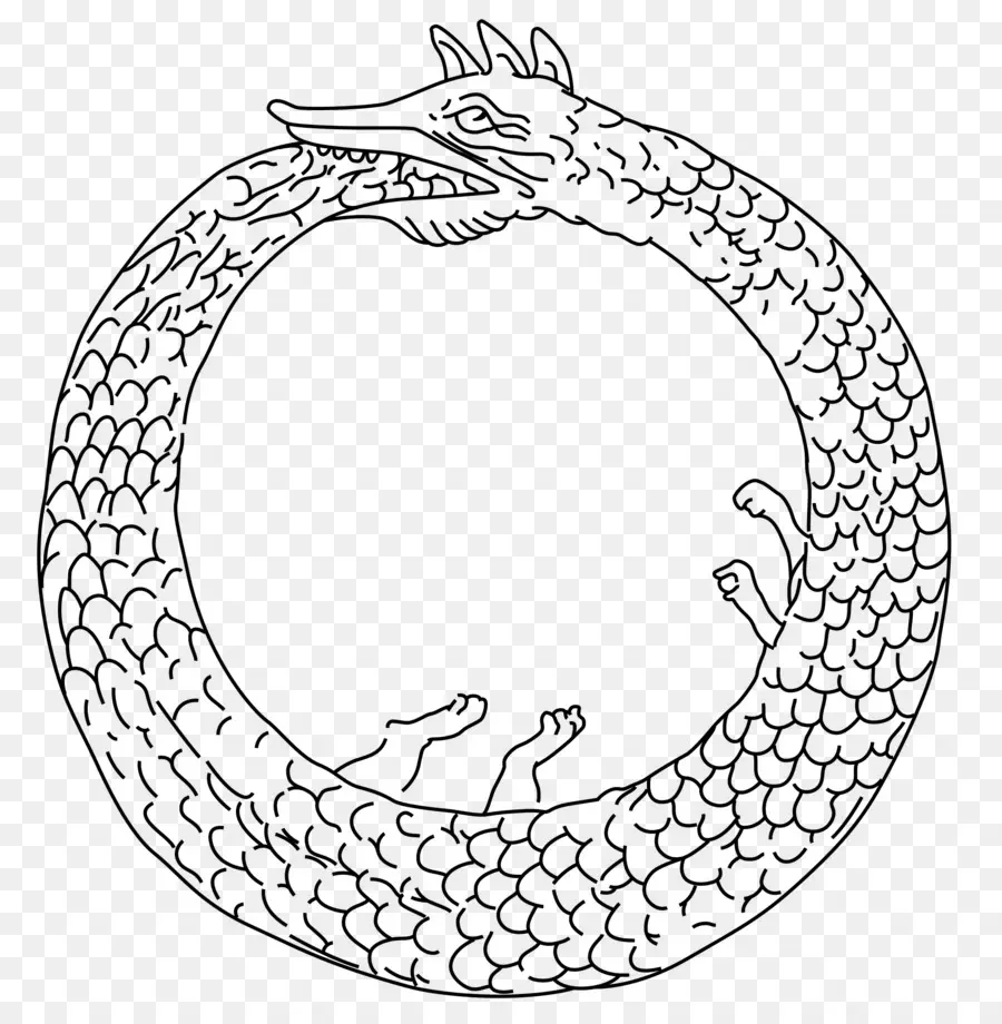 Ouroboros，Dragon PNG