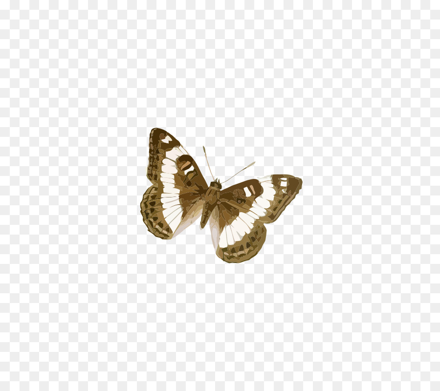 Papillon，Jaune PNG