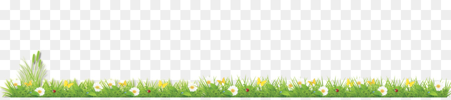 Bordure D'herbe，Fleurs PNG