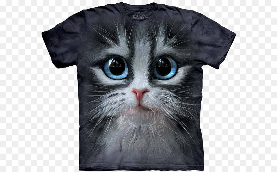 Tshirt，Chaton PNG