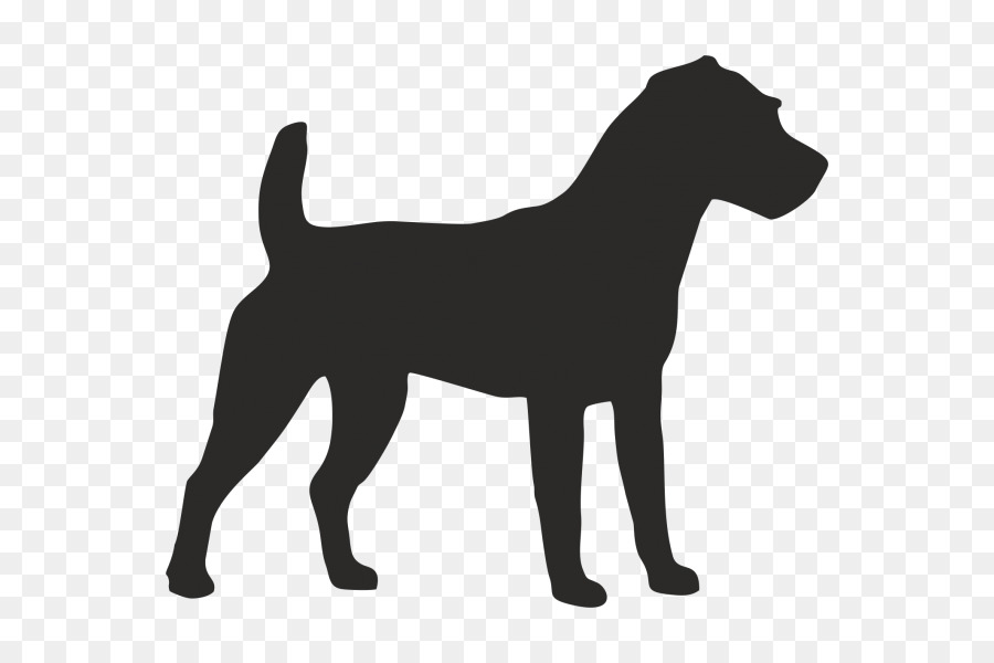 Terrier De Jack Russell，Lisse Fox Terrier PNG
