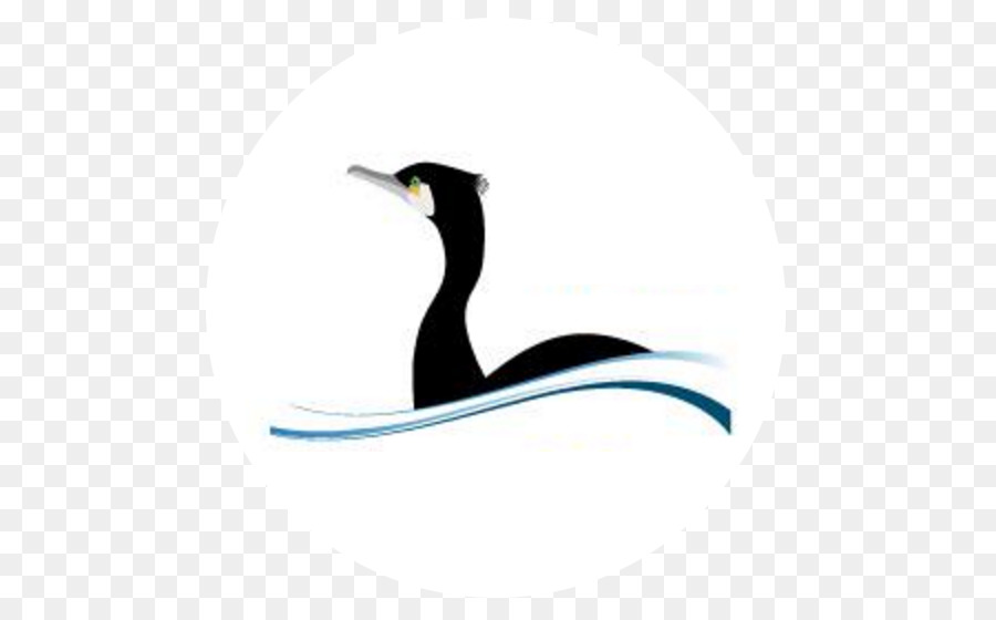 Pingouin，Association Ijsselmeer PNG