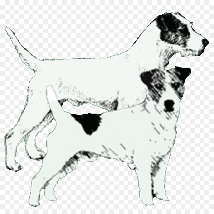 Race De Chien，Terrier De Jack Russell PNG