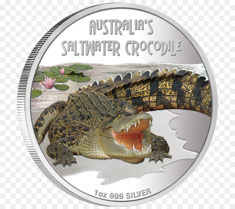 Crocodile Du Nil，Perth Mint PNG