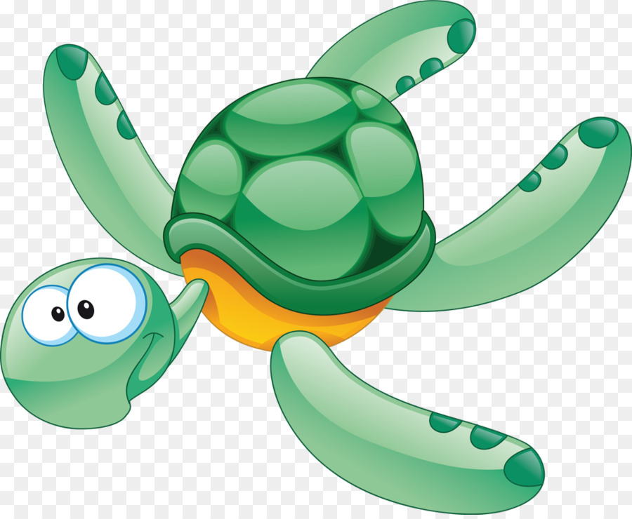 Tortue De Dessin Animé，Mignon PNG