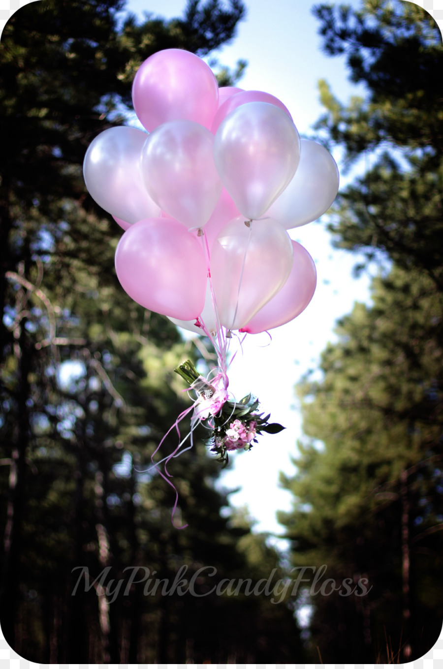 Montgolfière，Rose M PNG