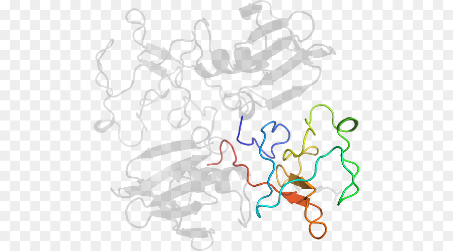 Structure Des Protéines，Molécule PNG