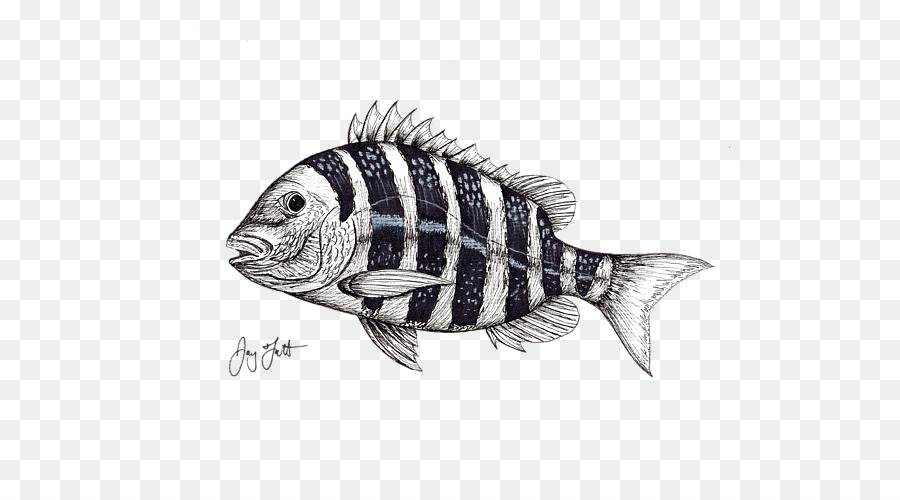 Poisson Tacheté，Aquatique PNG