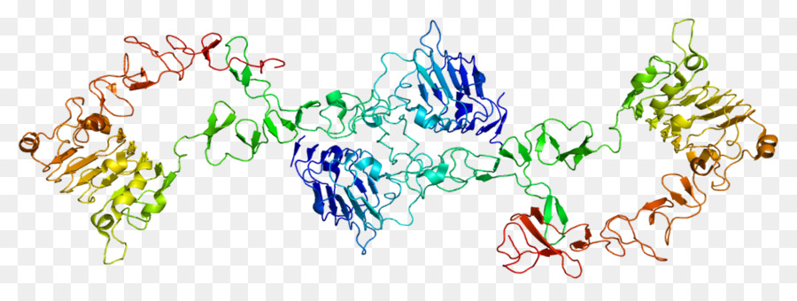 Structure Colorée，Molécule PNG