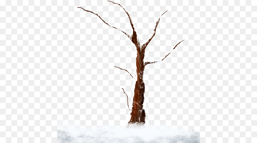 Arbre Nu，Hiver PNG