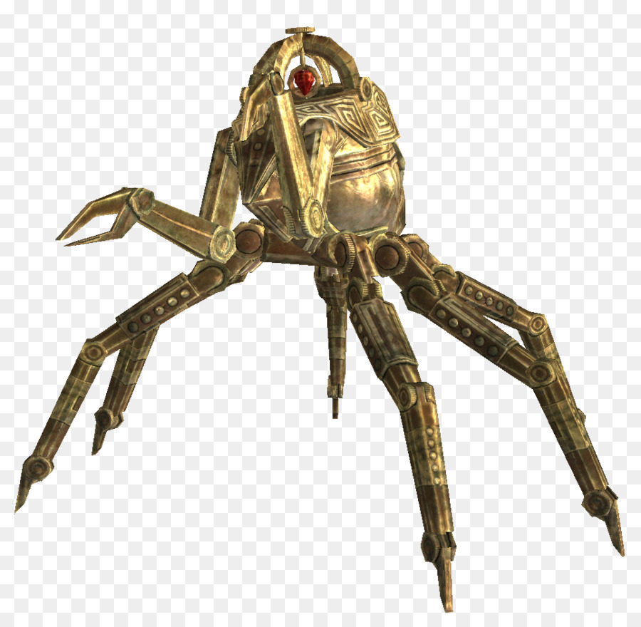 Araignée，Insecte PNG