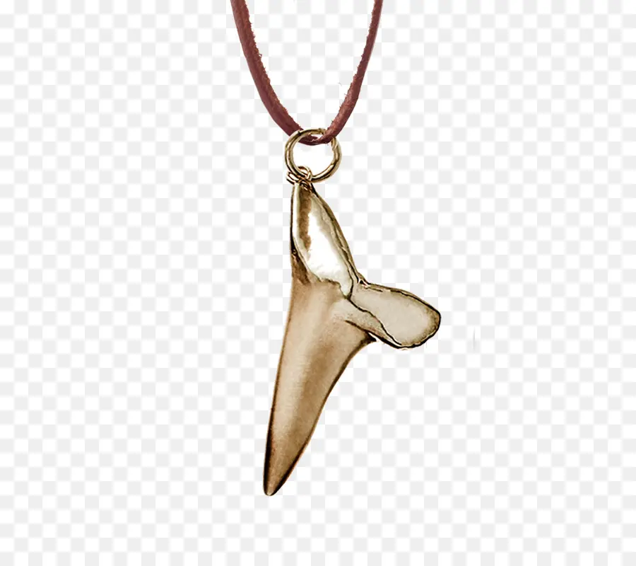 Collier De Dents De Requin，Pendentif PNG