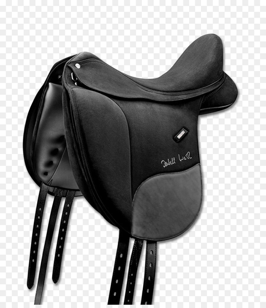 Dressage，Selle PNG