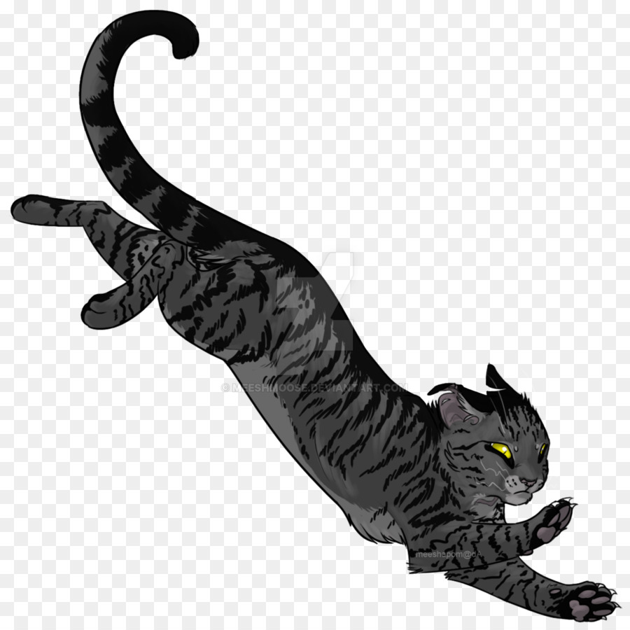 Chat Noir，Félin PNG