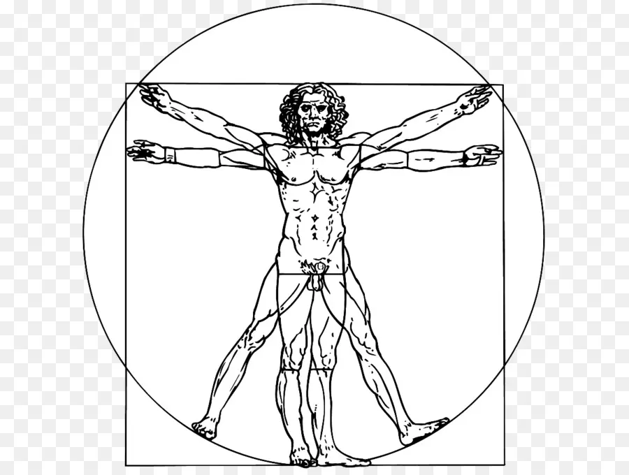 L'homme De Vitruve，Léonard De Vinci PNG