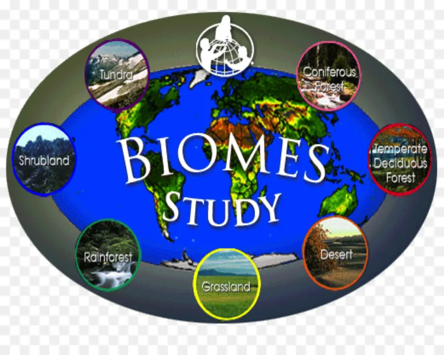 Étude Des Biomes，Écosystèmes PNG