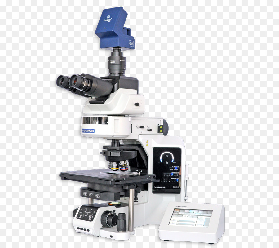 Microscope，Hybridation In Situ Fluorescence PNG