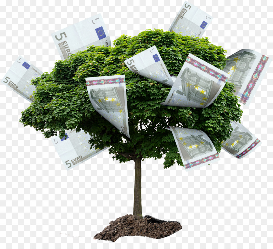 Arbre，La Photographie De Stock PNG