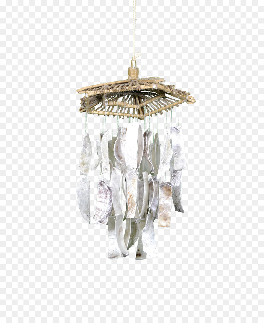 Lustre，Coquillage PNG