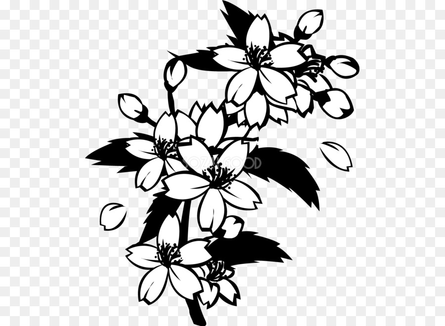 Noir Et Blanc La Peinture Monochrome Fleur De Cerisier