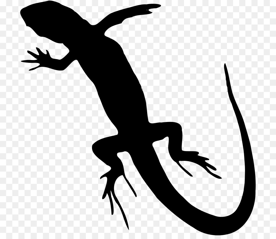 Lézard，Reptile PNG