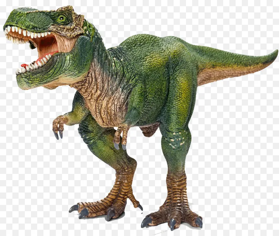 T Rex，Dents PNG