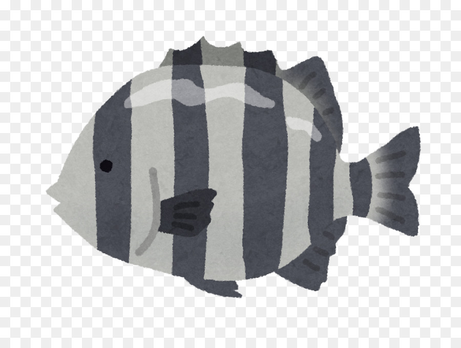 Rayé Beakfish，Le Chinchard PNG