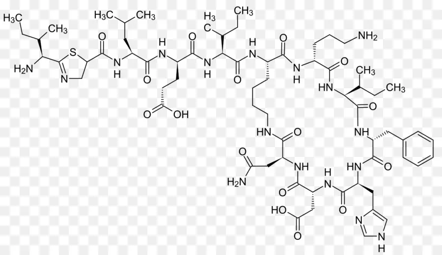 La Bacitracine，Peptide Cyclique PNG