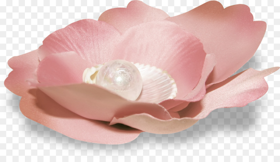 Rose M，Les Fleurs Coupées PNG