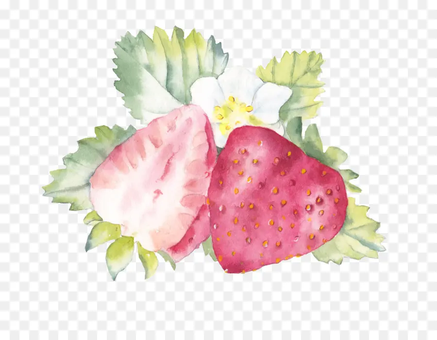 Fraises，Fruit PNG