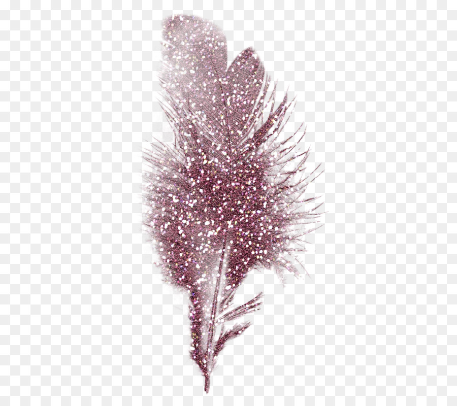 Plume，Paillettes PNG