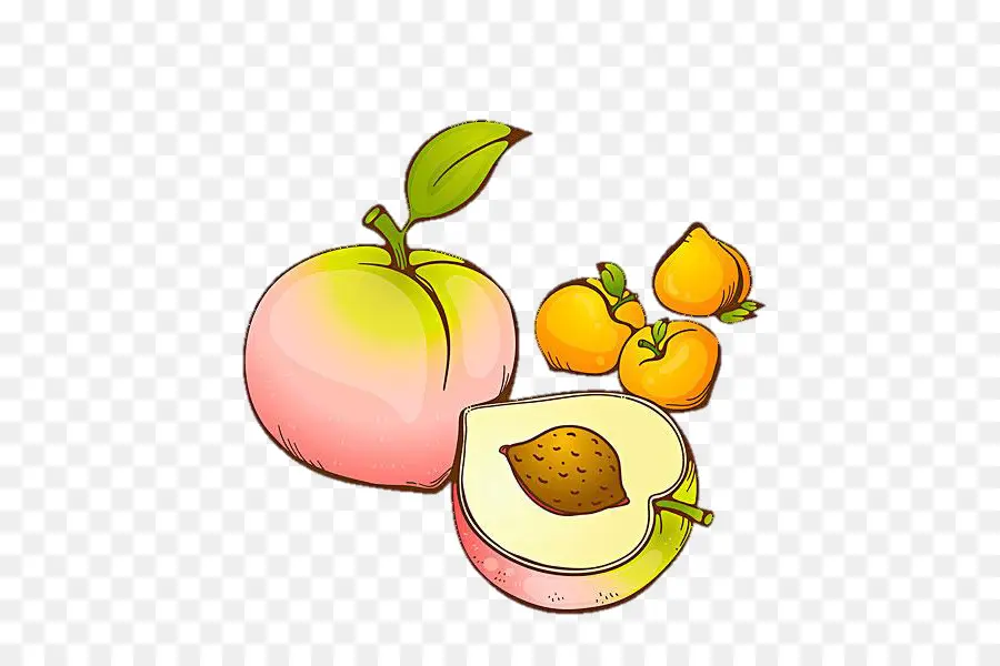 Pêche，Fruit PNG