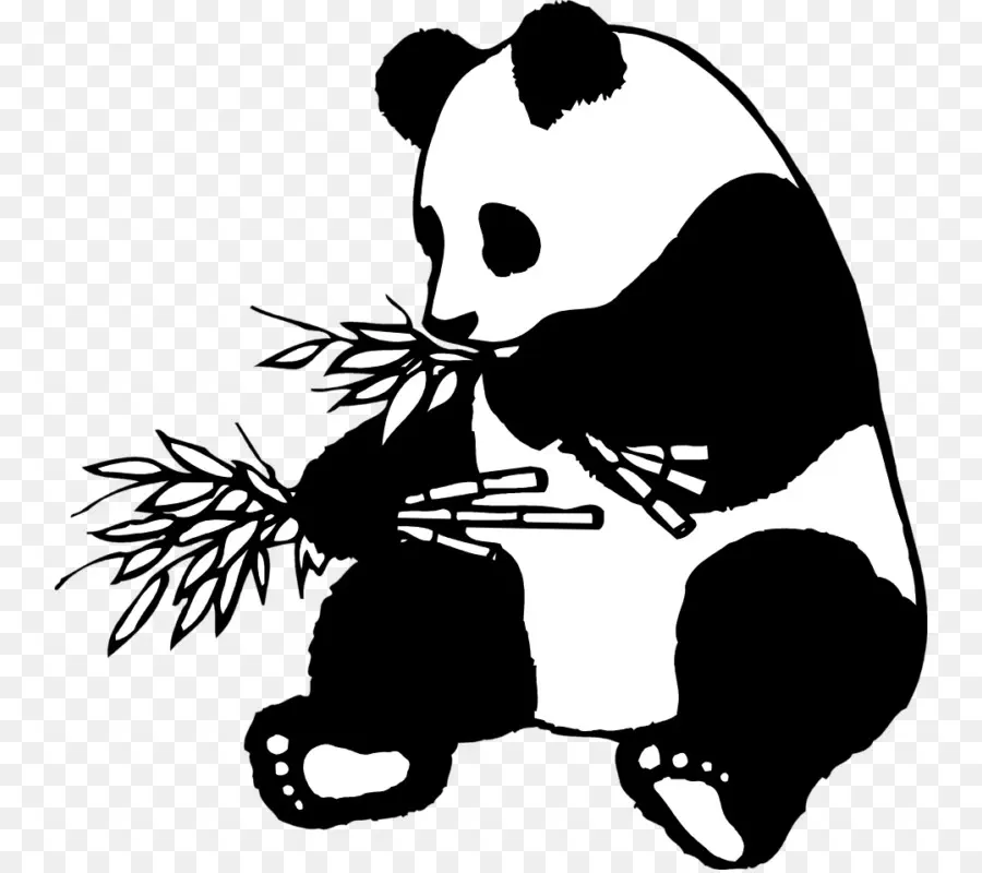 Panda，Bambou PNG