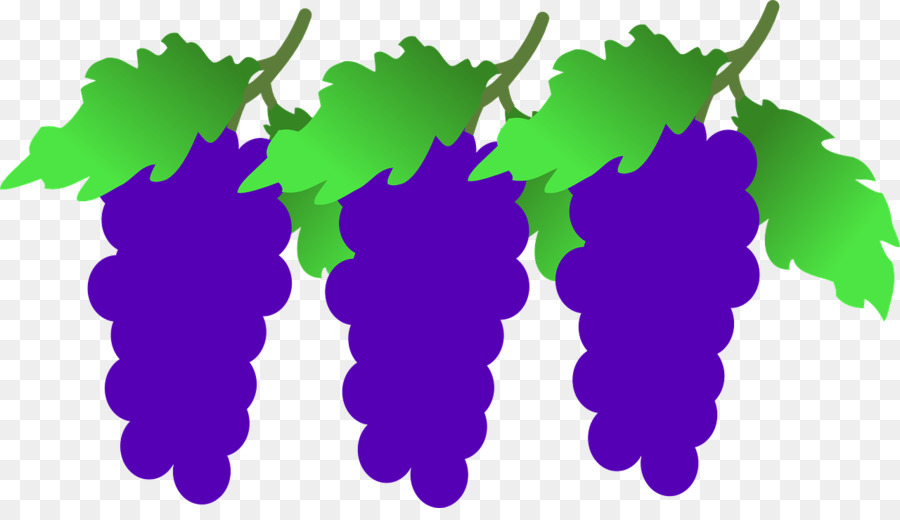 Raisin，Vin PNG