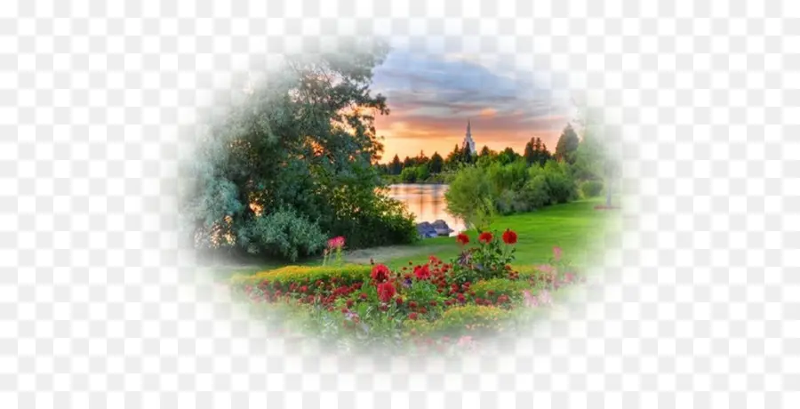 Jardin，Fleurs PNG