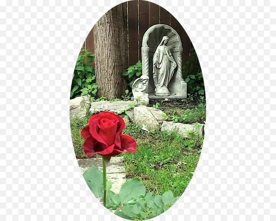 Les Roses De Jardin，Ave Maria PNG