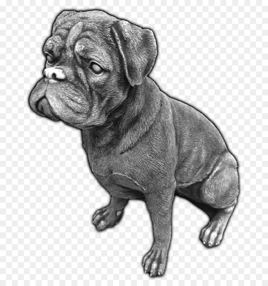 Jouet Bulldog，Dorset Olde Tyme Bulldogge PNG