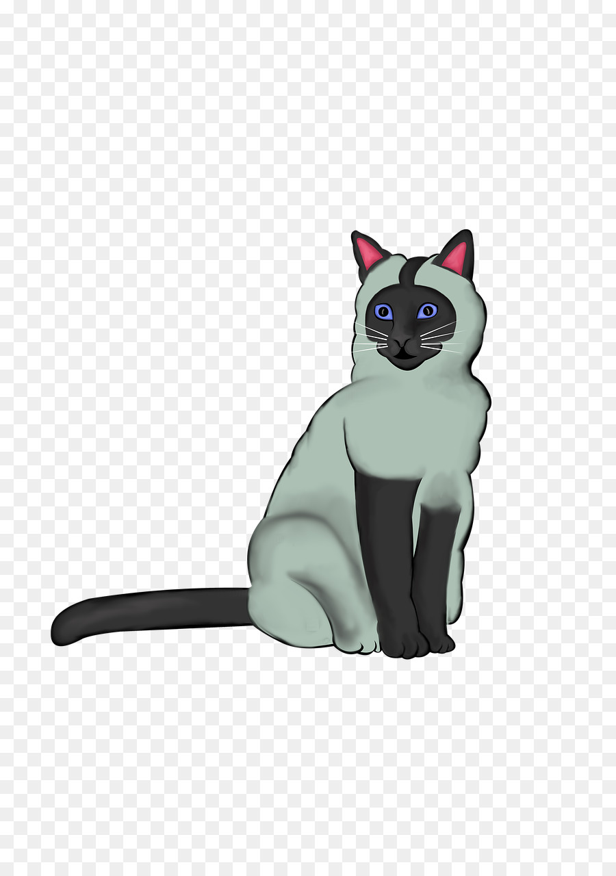 Chat，Animal De Compagnie PNG