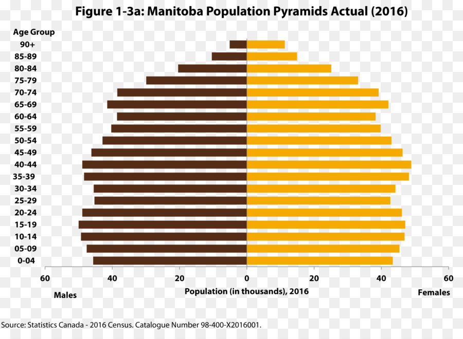 Pyramide De La Population États Unis La Population Png Pyramide De