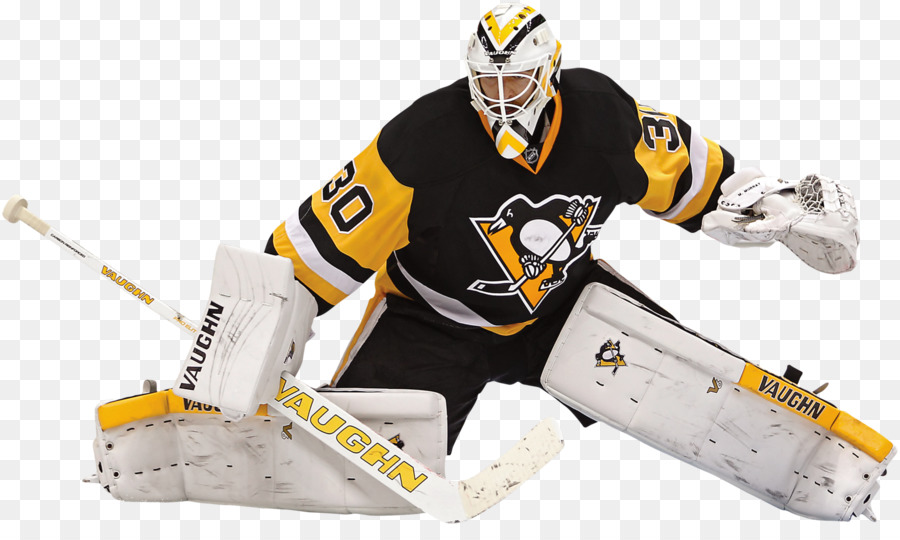 Les Penguins De Pittsburgh，La Ligue Nationale De Hockey PNG