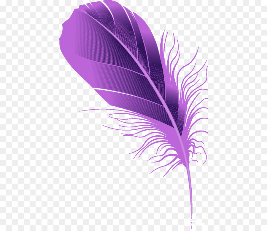 Plume，Violet PNG