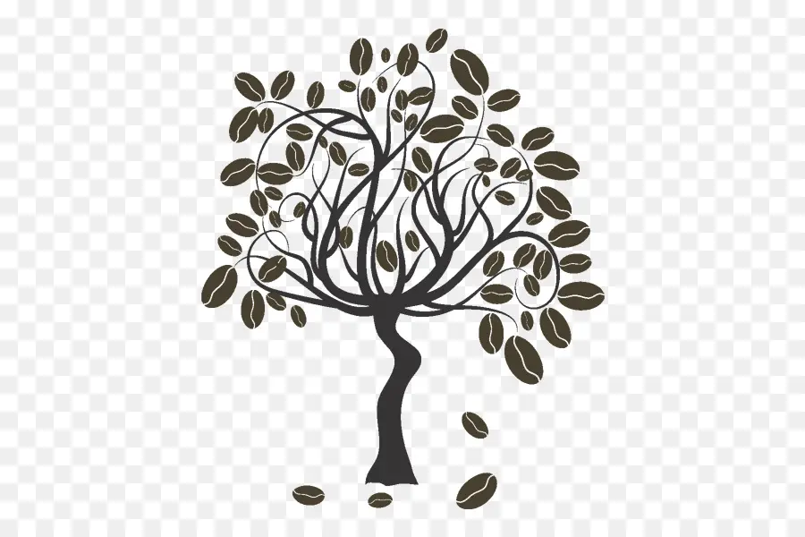 Arbre，Café En Grains PNG